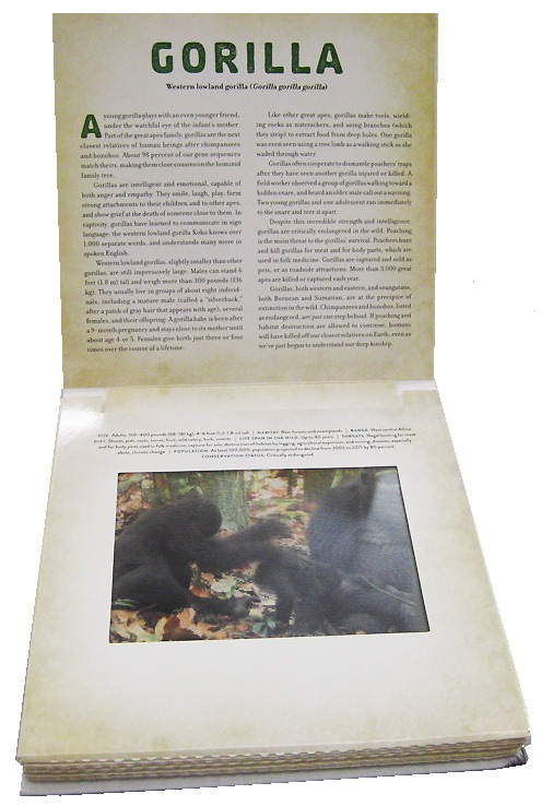 【感謝セール価格】 絵が動く！しかけ絵本　フォティキュラー　WILD