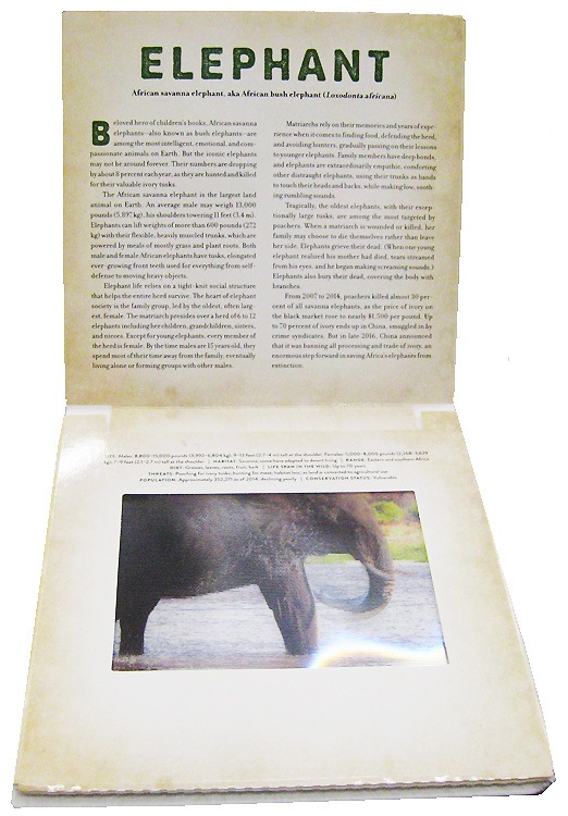 【感謝セール価格】 絵が動く！しかけ絵本　フォティキュラー　WILD