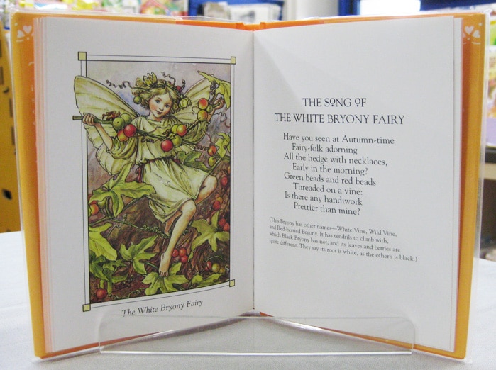 Flower Fairies of the Autumn ～花の妖精たち 秋～ 切り絵版