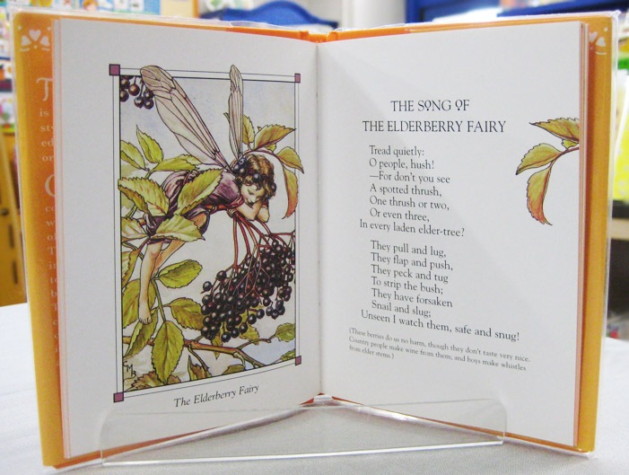 Flower Fairies of the Autumn  ～花の妖精たち 秋～　切り絵版