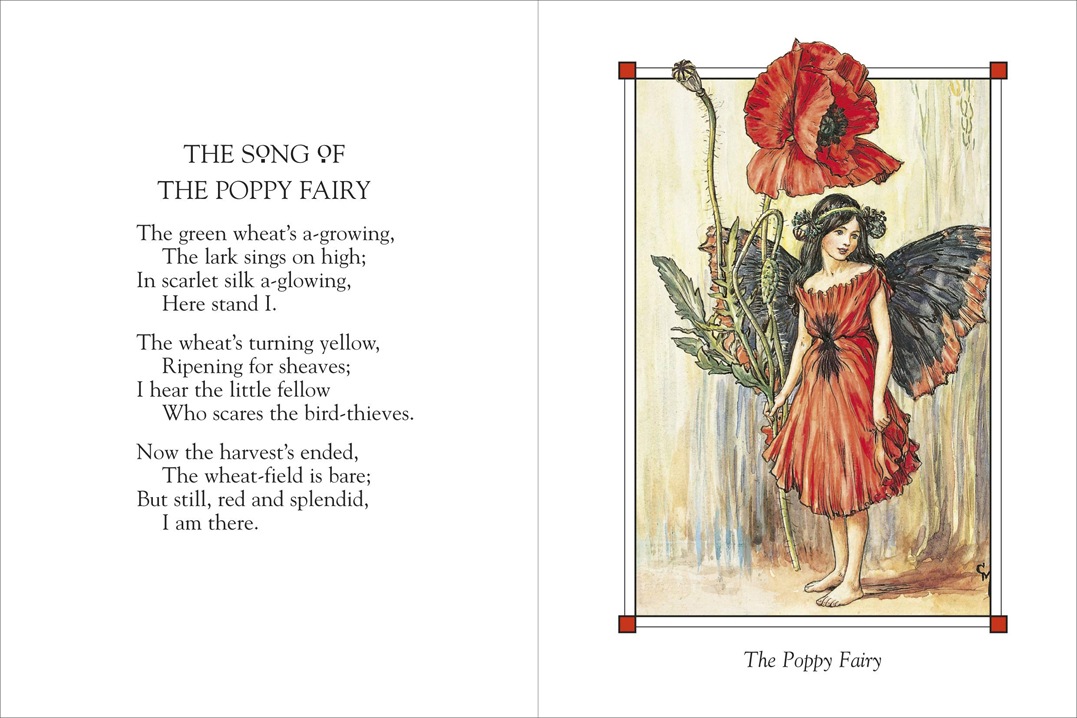 Flower Fairies of the Summer ～花の妖精たち 夏～ 新装版