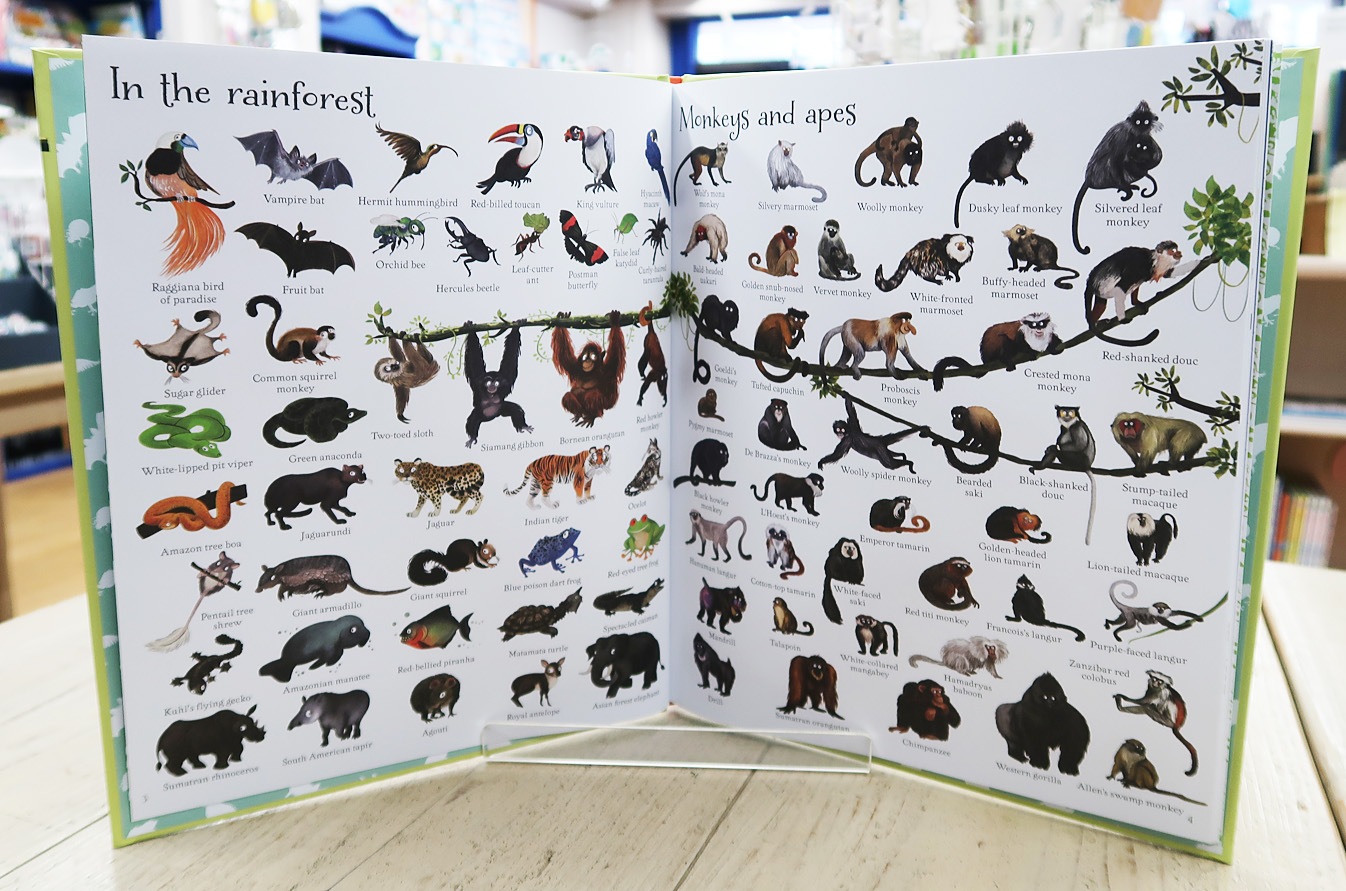 1000 絵辞典　Animals