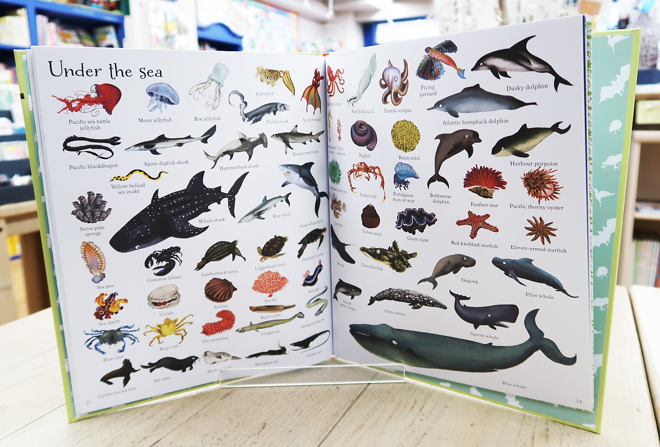 1000 絵辞典　Animals