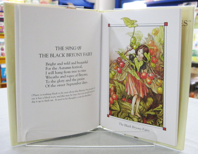 Flower Fairies of the Autumn ～花の妖精たち 秋～