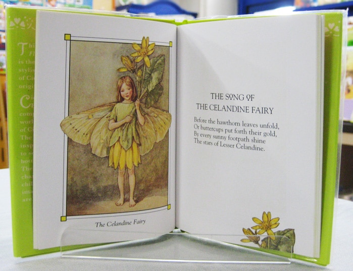 Flower Fairies of the Spring  ～花の妖精たち 春～　切り絵版