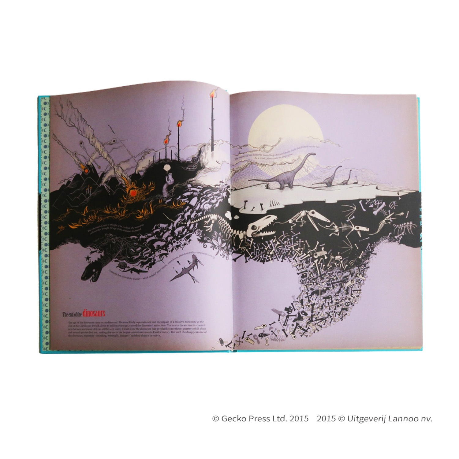 【大特価！セール品】 TIMELINE　A Visual Guide of Our World　地球の歴史を巡る旅へ