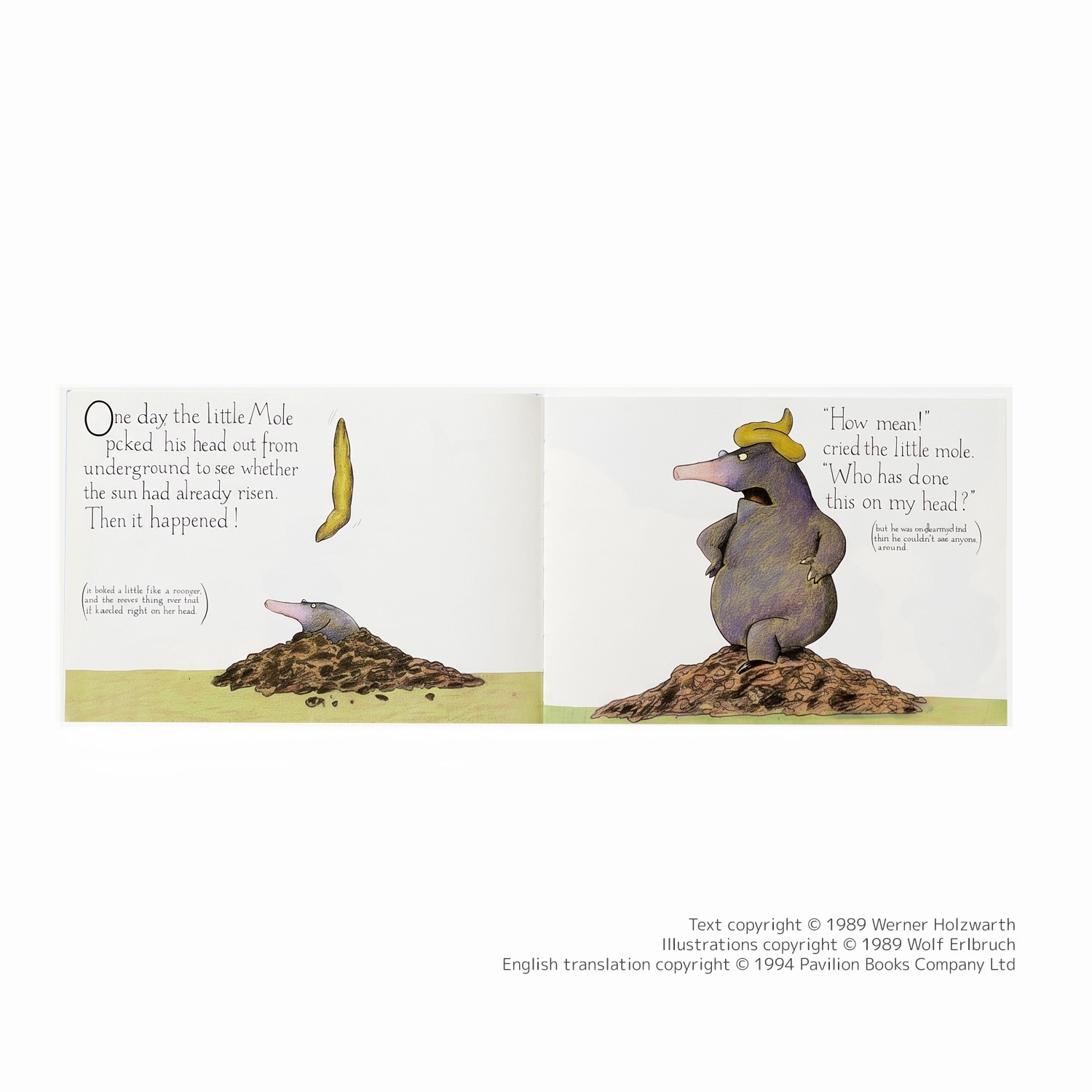 大特価！セール品】 SING&SAY The Story of the Little Mole CDつき