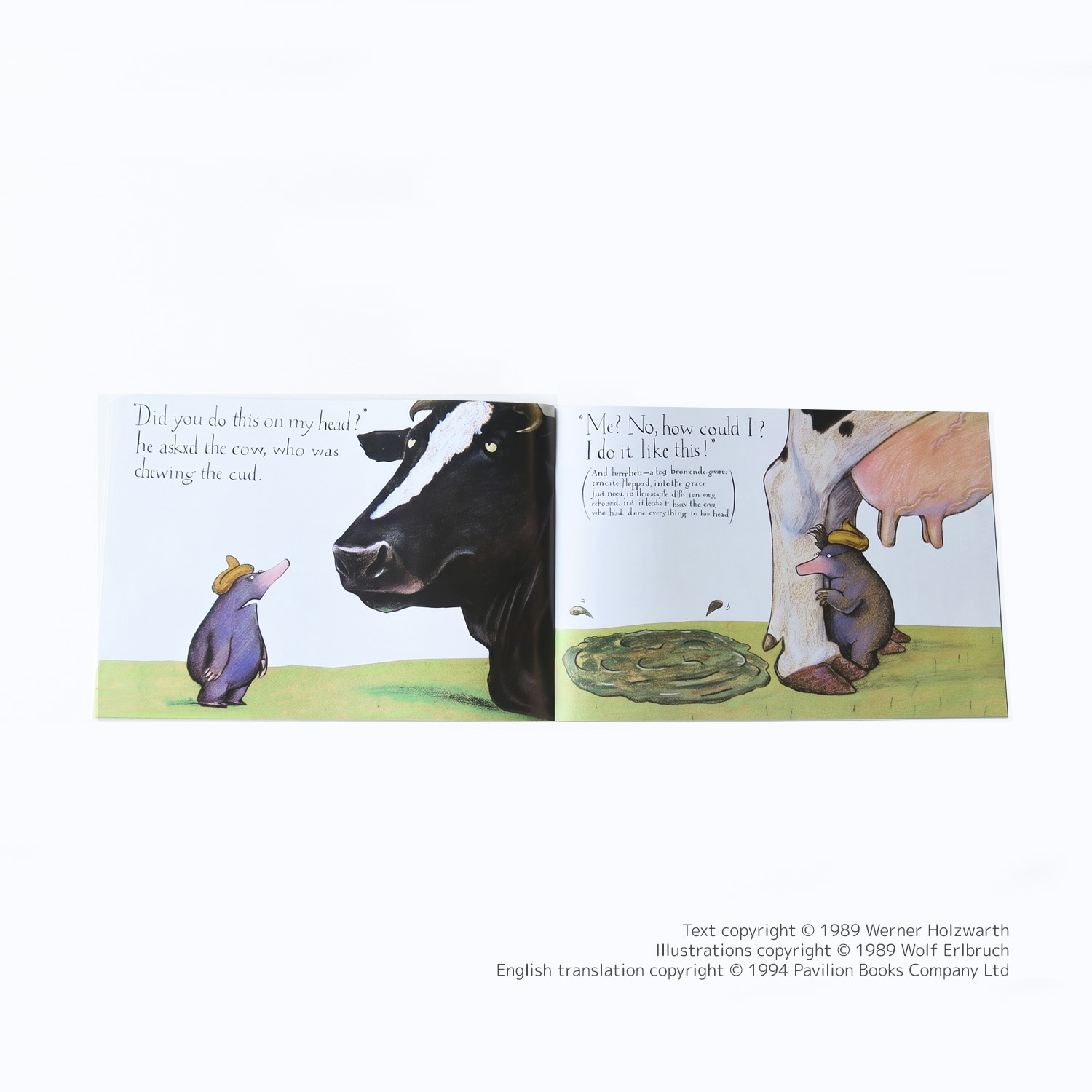 大特価！セール品】 SING&SAY The Story of the Little Mole CDつき