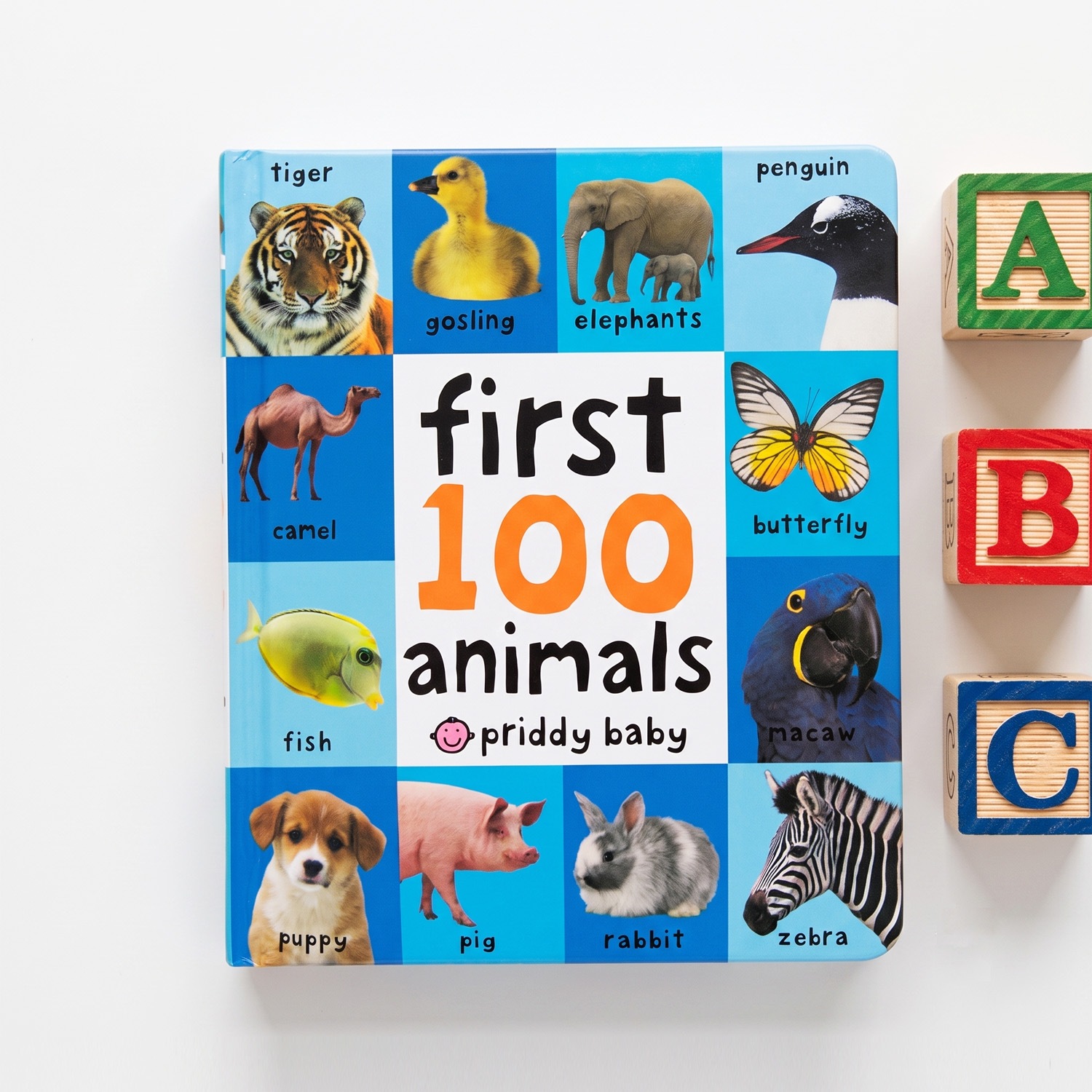 First 100 Animals