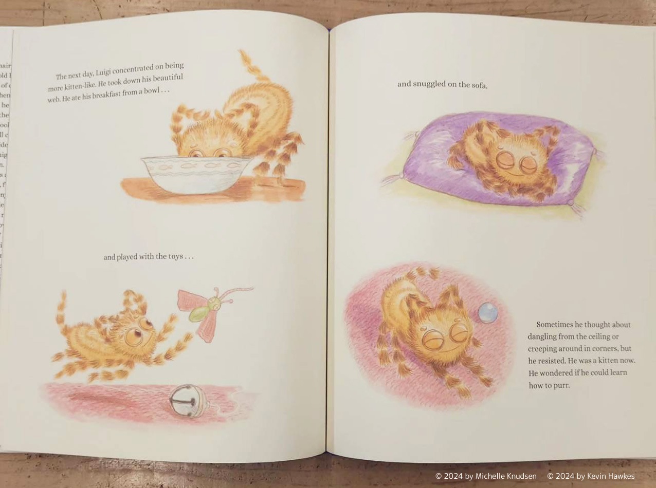 【英語と日本語読みくらべ絵本セット】 Luigi, the Spider Who Wanted to Be a Kitten （ハードカバー）／ ネコになりたかったクモのルイージ