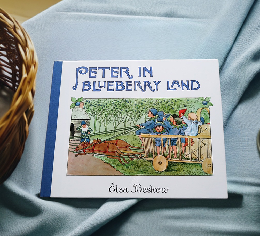 Peter in Blueberry Land ～ブルーベリーのもりでのプッテのぼうけん～