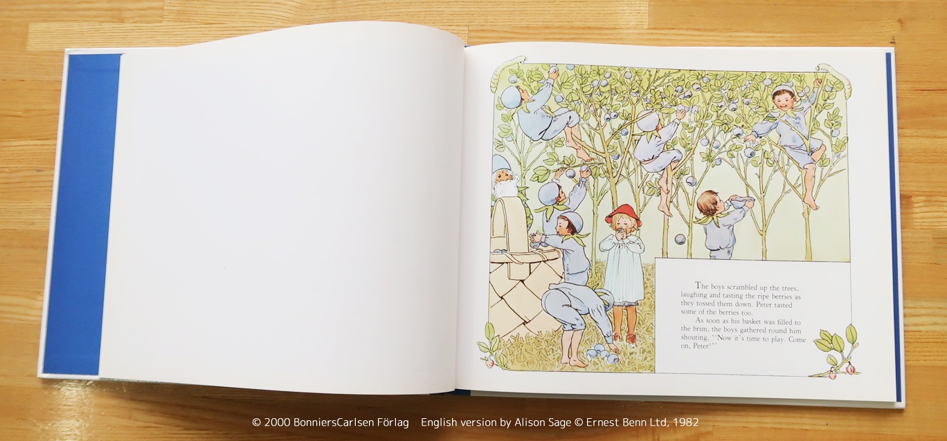 Peter in Blueberry Land ～ブルーベリーのもりでのプッテのぼうけん～