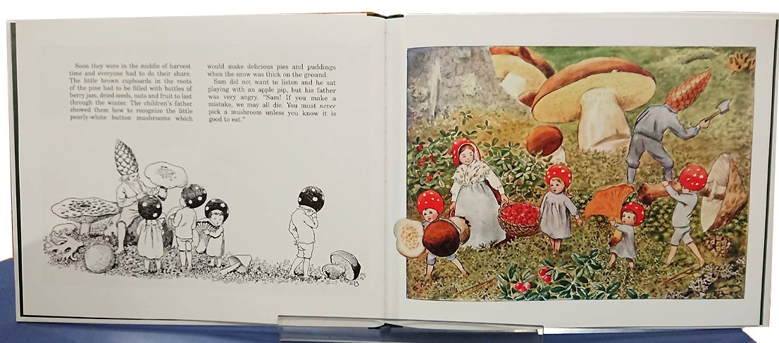 Children of the Forest ～もりのこびとたち～