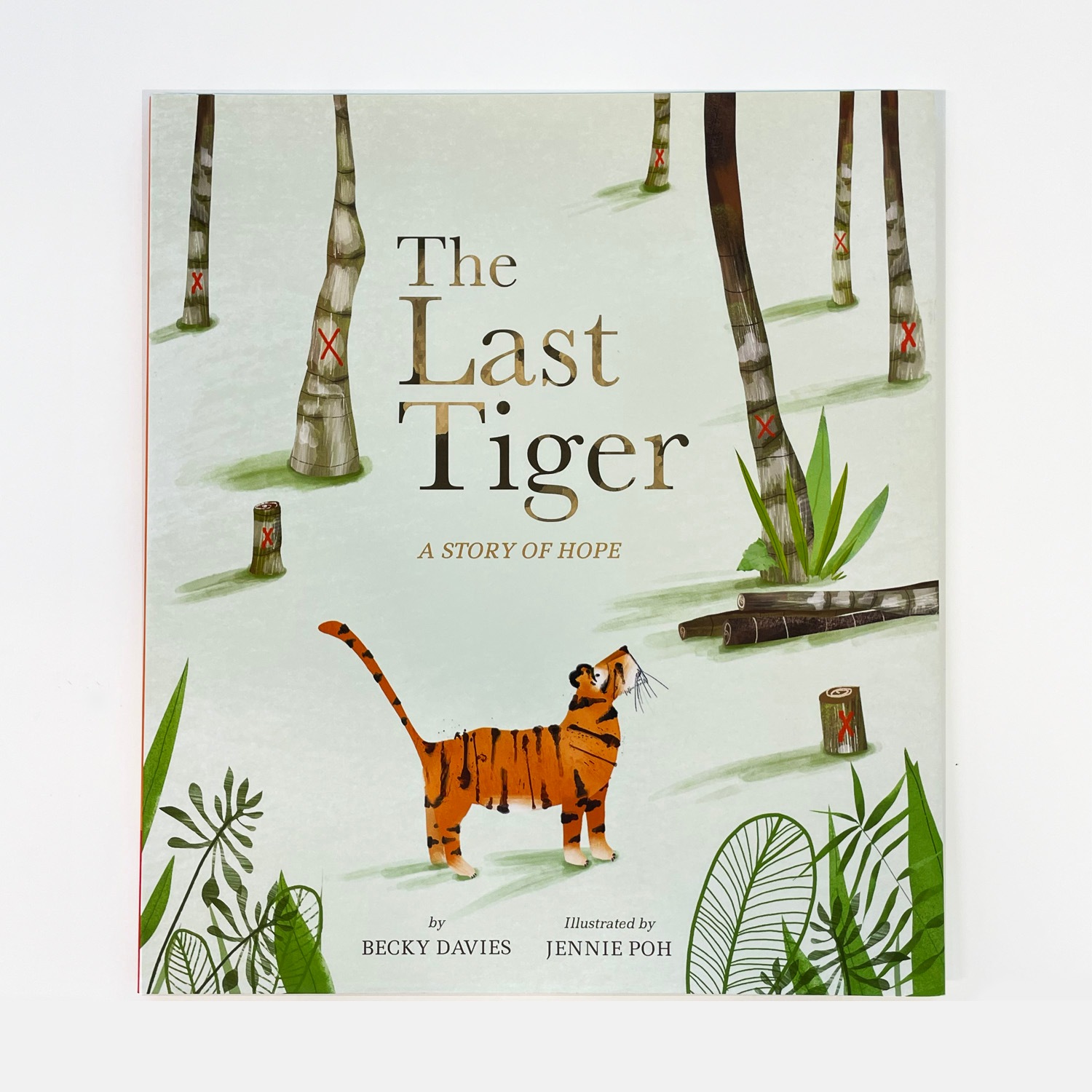 大特価！セール品】 The Last Tiger: A Story of Hope | カテゴリーで