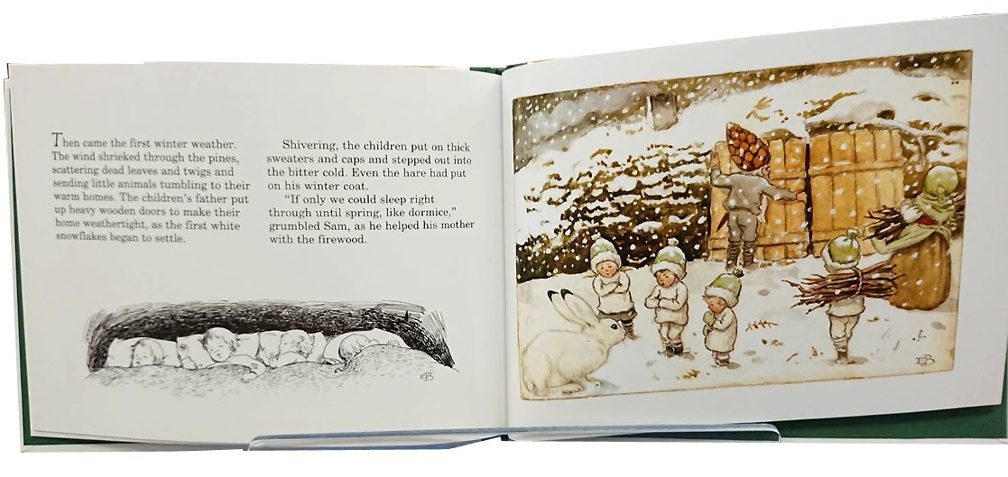 Children of the Forest ～もりのこびとたち～　ミニ版