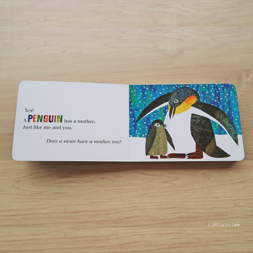 Does a Kangaroo Have a Mother, Too?　～カンガルーの子どもにもかあさんいるの?～　ボードブック