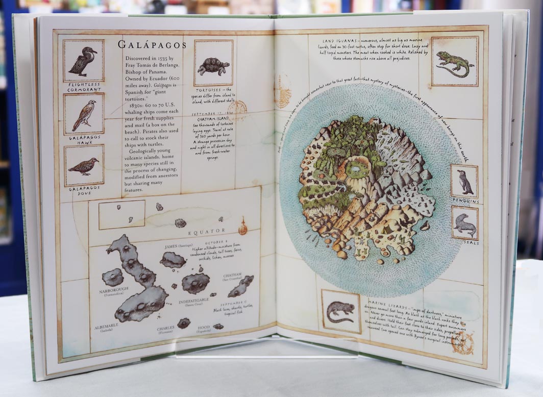 【感謝セール価格】 Tree of Life: Charles Darwin　～生命の樹 チャールズ・ダーウィンの生涯～