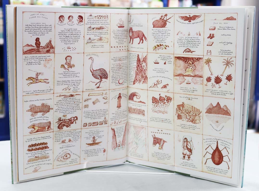 感謝セール価格】 Tree of Life: Charles Darwin ～生命の樹