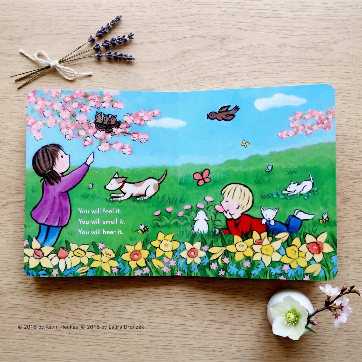 When Spring Comes　ボードブック