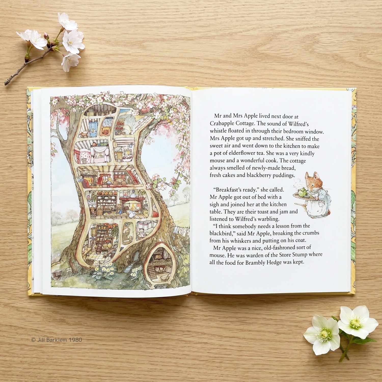 Brambly Hedge Spring Story　～のばらの村のものがたり　春のピクニック～