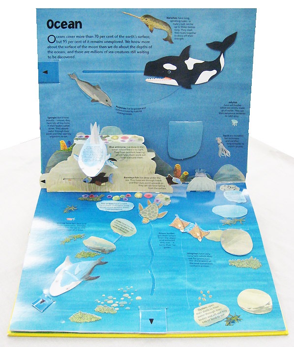 ポップアップしかけえほん　World of Animals