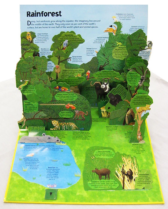 ポップアップしかけえほん　World of Animals