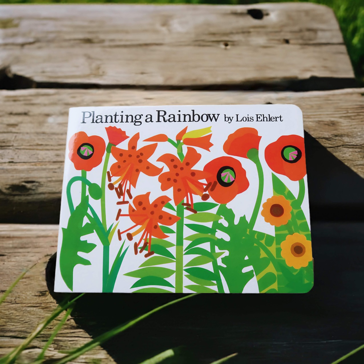 Planting A Rainbow　～にじのはなさかせよう！～　ボードブック