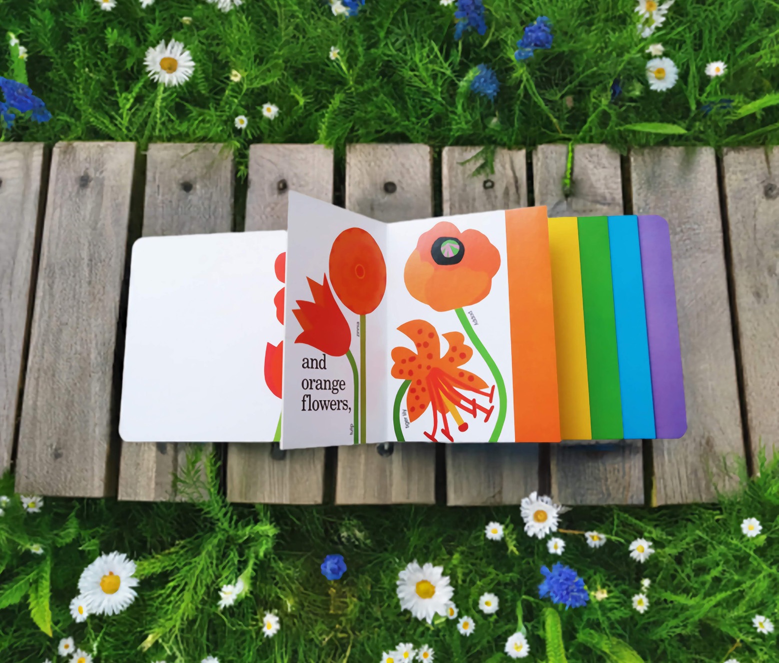 Planting A Rainbow　～にじのはなさかせよう！～　ボードブック