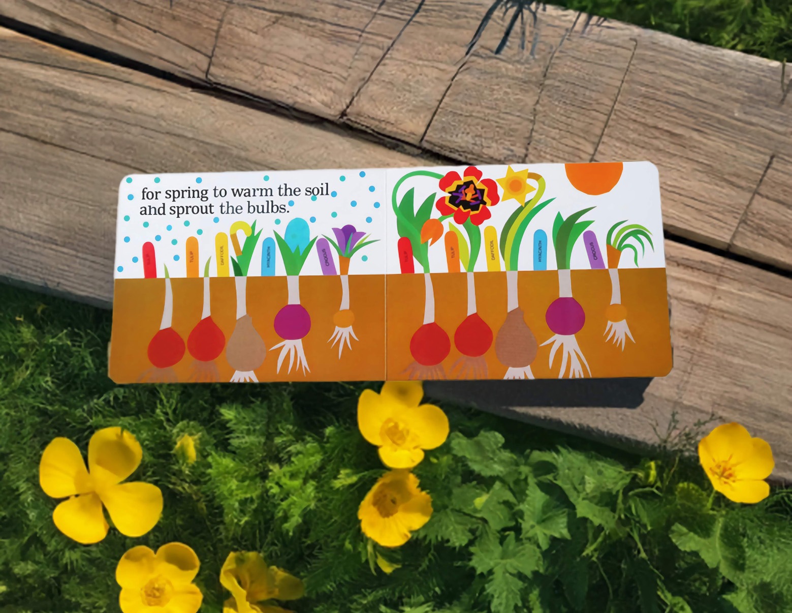 Planting A Rainbow　～にじのはなさかせよう！～　ボードブック