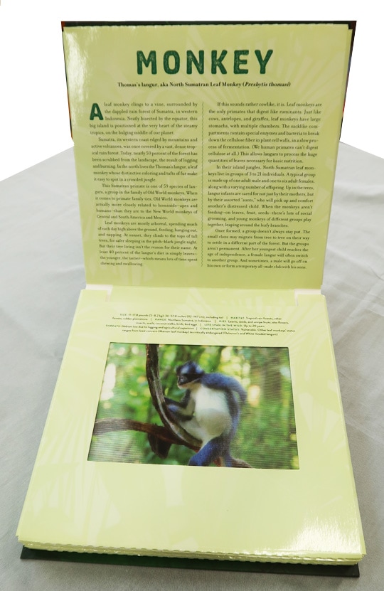 【感謝セール価格】 絵が動く！しかけ絵本　フォティキュラー JUNGLE