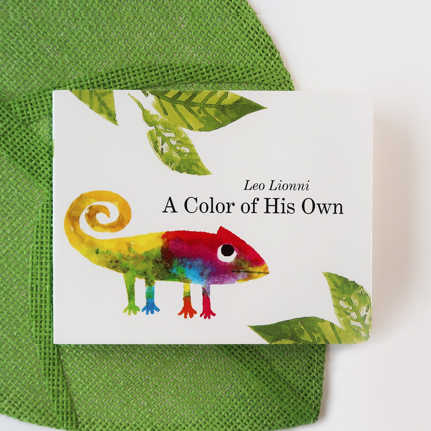 A Color of His Own　～じぶんだけのいろ～ ボードブック