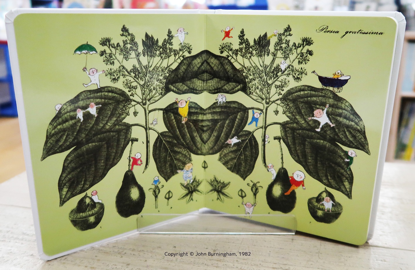 Avocado Baby ～アボカド・ベイビー～ ボードブック