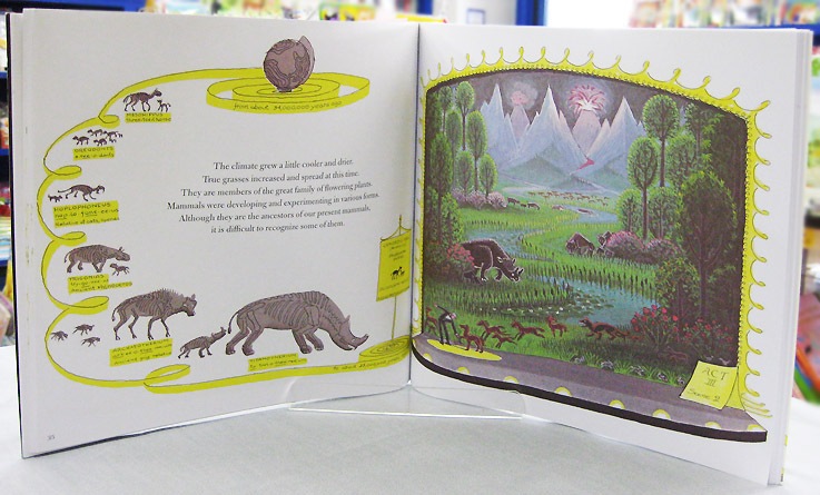 【英語と日本語読みくらべ絵本セット】 Life Story ／ せいめいのれきし