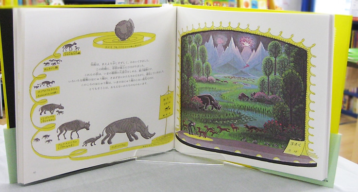 英語と日本語読みくらべ絵本セット】 Life Story ／ せいめいのれきし