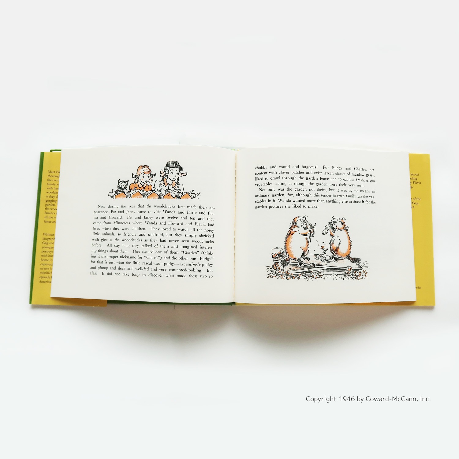 The Wily Woodchucks