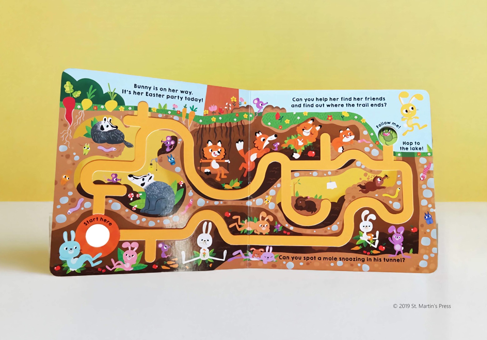 指でたどろう！しかけ絵本　Follow the Bunny