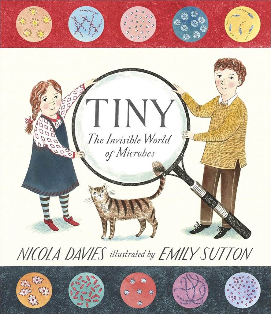 Tiny: The Invisible World of Microbes　～ちいさなちいさな めにみえない びせいぶつの せかい～　ペーパーバック版