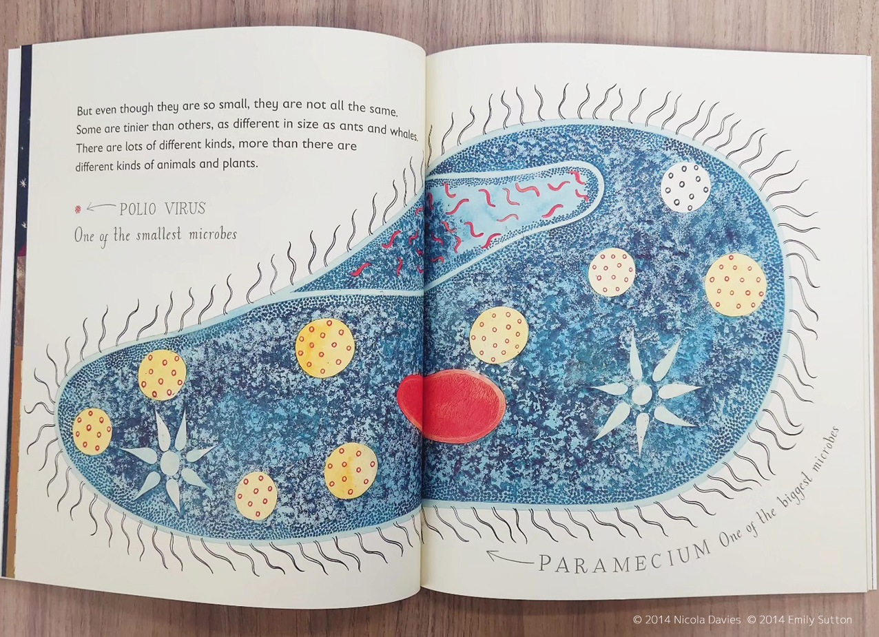 Tiny: The Invisible World of Microbes　～ちいさなちいさな めにみえない びせいぶつの せかい～　ペーパーバック版