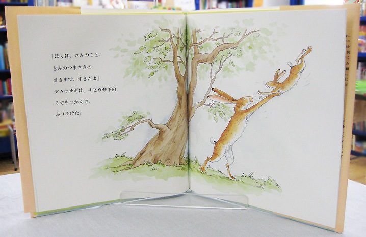 【英語と日本語読みくらべ絵本セット】 Guess How Much I Love You ／ どんなにきみがすきだかあててごらん