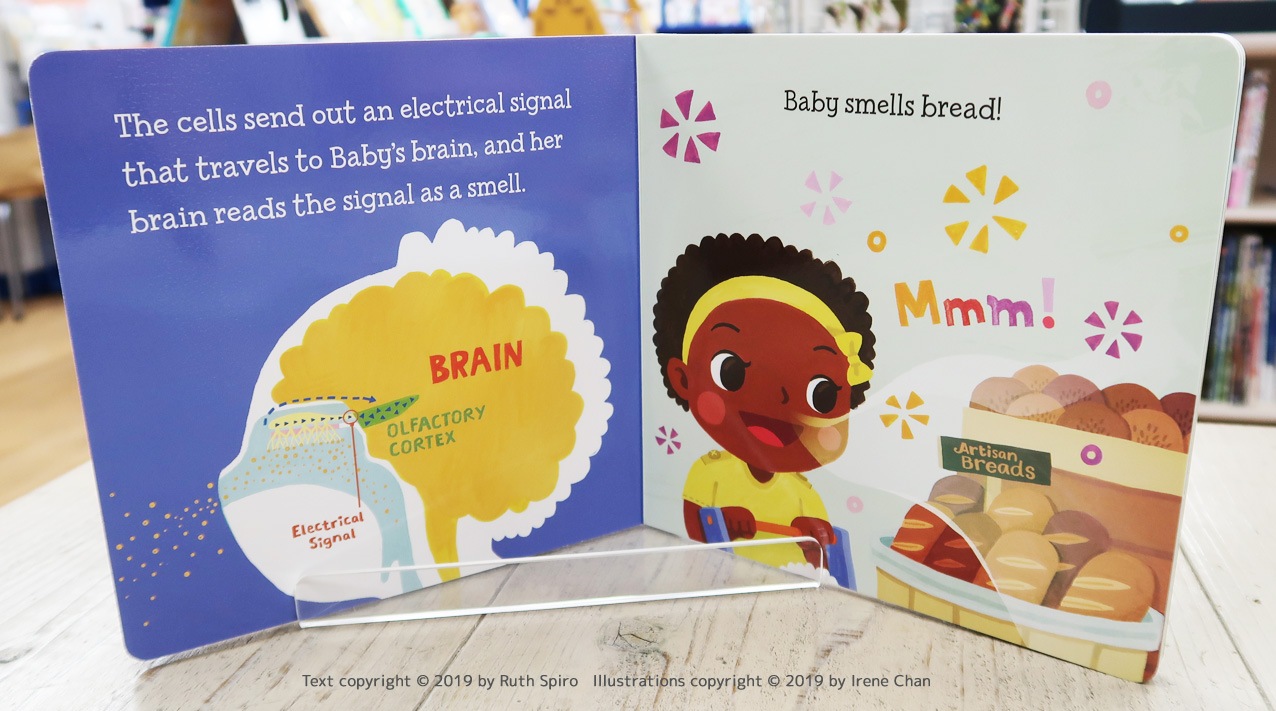 Baby Loves Science　五感を学べる科学えほんシリーズ　Smell!