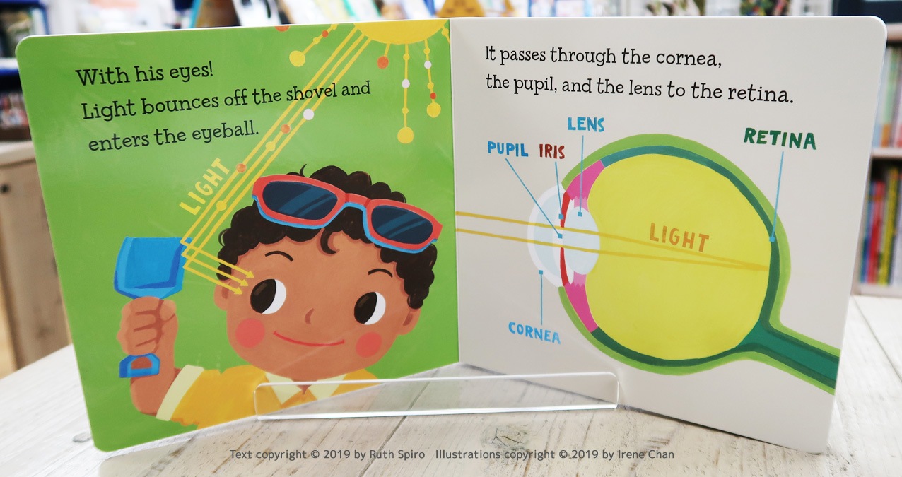 Baby Loves Science　五感を学べる科学えほんシリーズ　Sight!ｘ