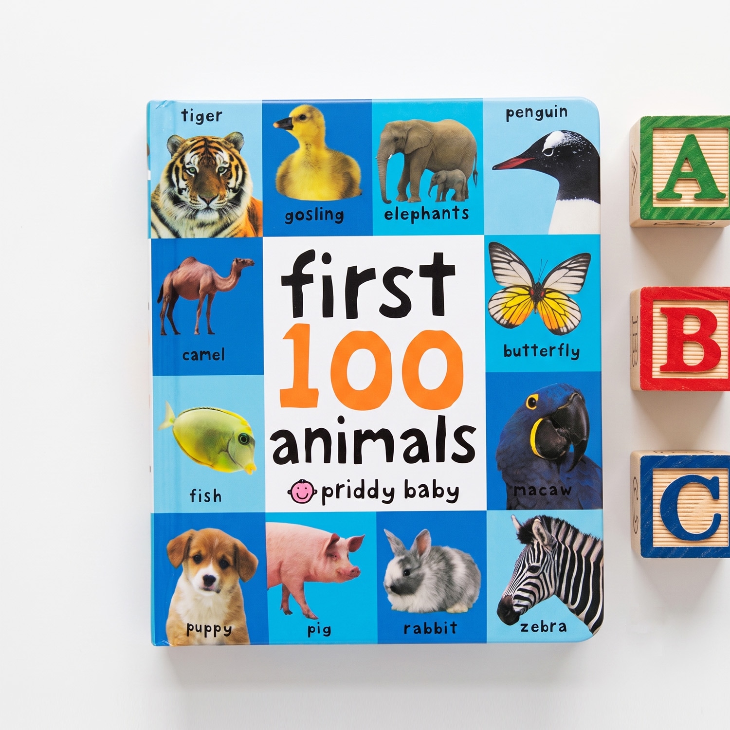 ギフトセット》 ボードブック First 100 Animals ＆ 指でたどろう