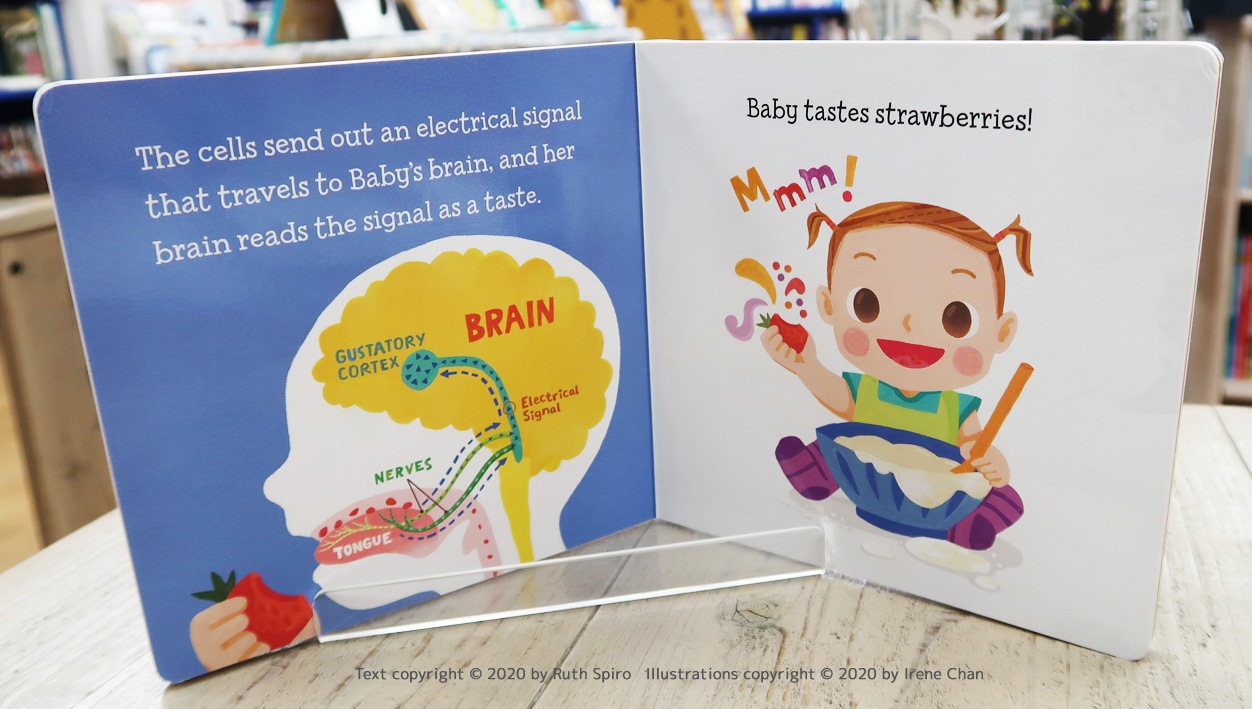 Baby Loves Science　五感を学べる科学えほんシリーズ　Taste!