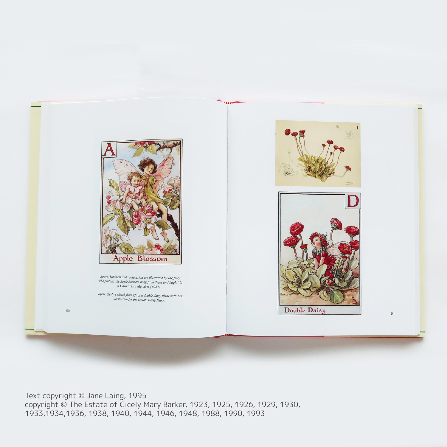 大特価！セール品】 Cicely Mary Barker and Her Art ～花の妖精