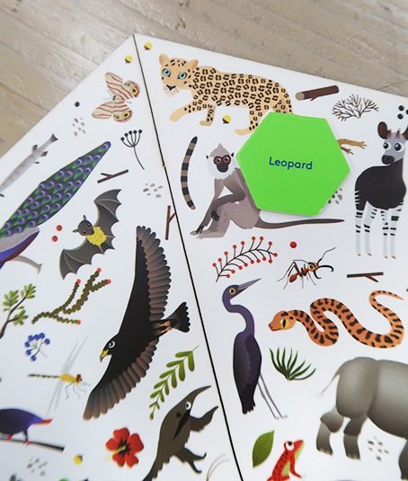 絵探しゲーム　ジャングルスポッティング