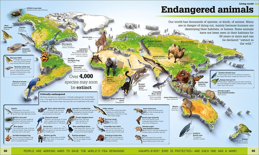 Where on Earth? （世界ファクトMAPS）