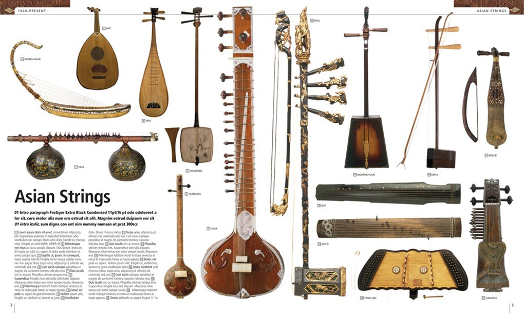 Music: The Definitive Visual History（『世界の音楽大図鑑 』）