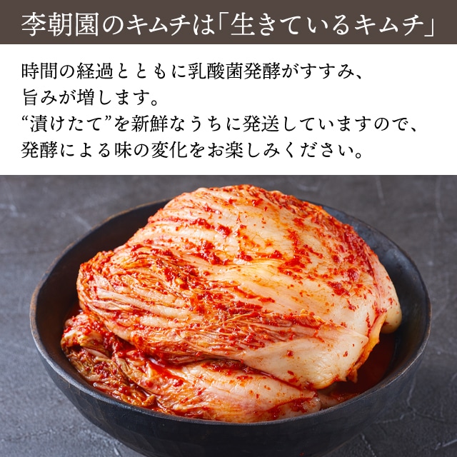 キムチページ 万能 キムチヤンニョム キムチの素 キムチだれ キャベツキムチ