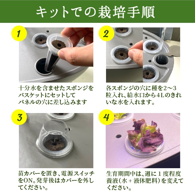 おうちで育てる！水耕栽培キット（液体肥料・種付き）【送料無料】