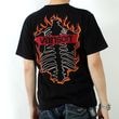 VANSON(Х󥽥) ե䡼ߥܡɽŷȾµT / NVST-2518 / 2025ղ  /  ե쥤 / Х ᥫ